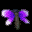 Purple buttery flapping its wings!